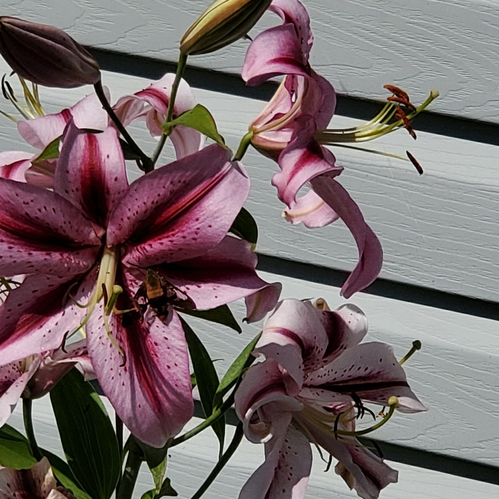 Meet your Posher, Brad